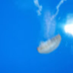 Meet your Posher, David l.